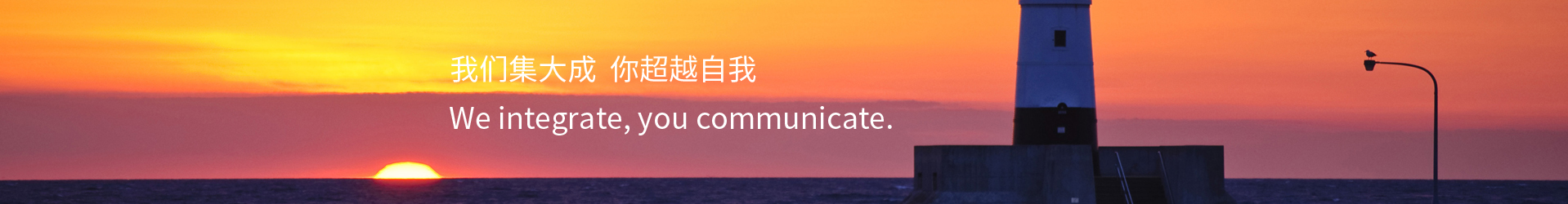 北京新华博越国际文化交流有限公司